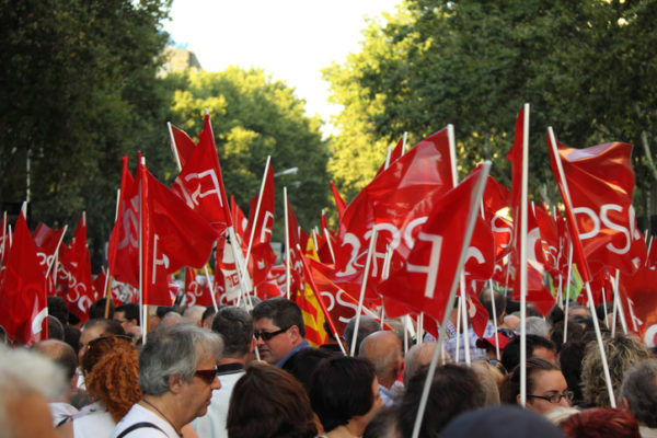 Flags of Socialist Party